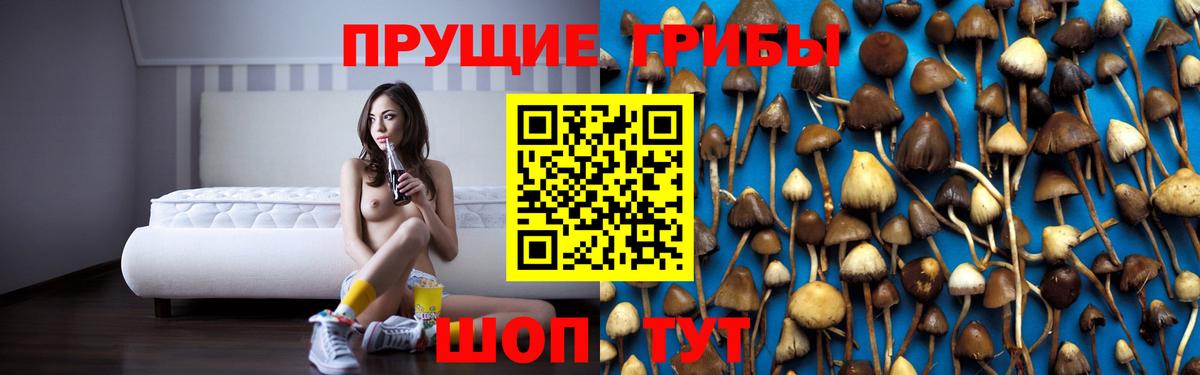 Псилоцибиновые грибы мухоморы Миллерово
